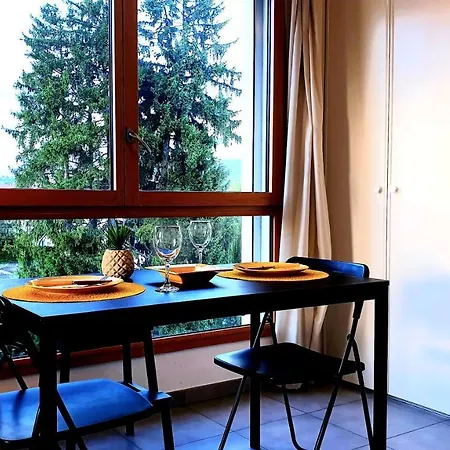 Le Bellevue A 10Min Du Centre A Pied Apartment Annecy Exterior photo